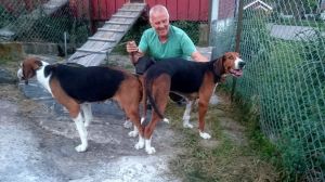 Parring SE26449/12 Utanmyra Paavo og 23811/07 Bloksbergs Tone