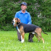 S37487/2007 SE JCH Renholmens Rokki