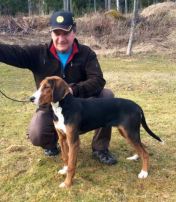 Bloksbergs Noomi 6mnd til Stefan og Robert Larsson