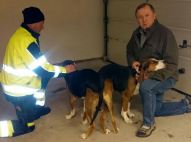 Renholmens Rokki_Bloksbergs Lilly